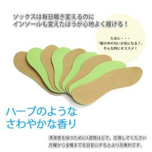 インソール 中敷き レディース メンズ ポスト...の詳細画像3