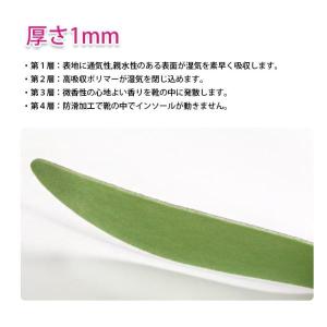 インソール 中敷き レディース メンズ ポスト...の詳細画像4