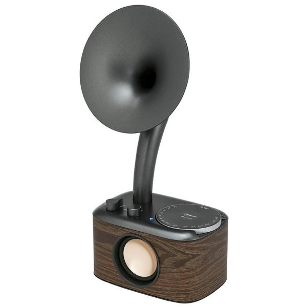 SANGEAN(サンジーン) WR-303 FMラジオ Bluetoothスピーカー グラファイトグ...