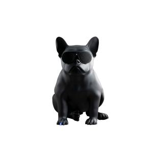 Aerobull エアロブル　ワイヤレススピーカー　HD1　マット・ブラック　AE-1000