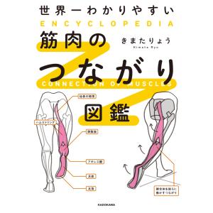 『世界一わかりやすい 筋肉のつながり図鑑』きまた　りょう（KADOKAWA）
