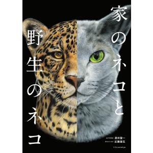 『家のネコと野生のネコ』澤井聖一　近藤雄生（エクスナレッジ）｜edion-tsutayakaden