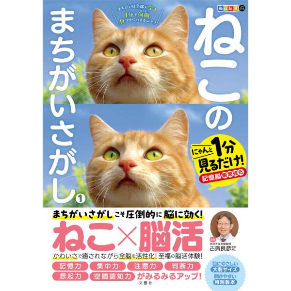 『ねこのまちがいさがし』古賀 良彦（文響社）