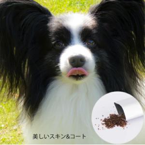 【EDOG JAPAN】ザ・コラーゲン・パワー...の詳細画像1