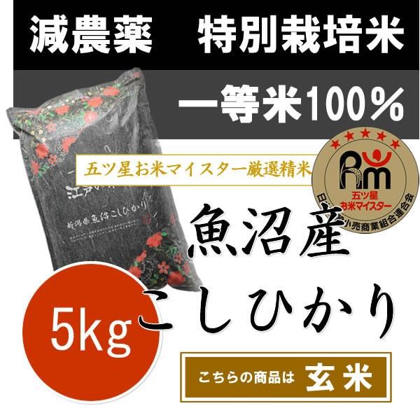 ［玄米］新米 令和5年産 一等米 新潟県 魚沼産コシヒカリ 特別栽培米(減農薬米・減化学肥料米)コシ...