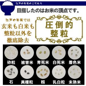 魚沼産コシヒカリ 5kg 新米 令和7年産 特...の詳細画像1
