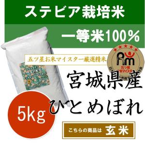 ［玄米］【 お米 新米 プチ贅沢】新米 令和5年産 ステビア栽培 一等米 100% 宮城県産 ひとめぼれ 5kg｜edonokomegura