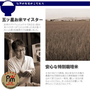 五つ星お米マイスター厳選ブレンド米 贅沢ブレン...の詳細画像4