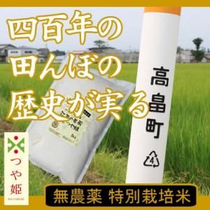 つや姫 【値下がりしました！】新米 令和7年産 山形県産 10kg (5kg×2袋