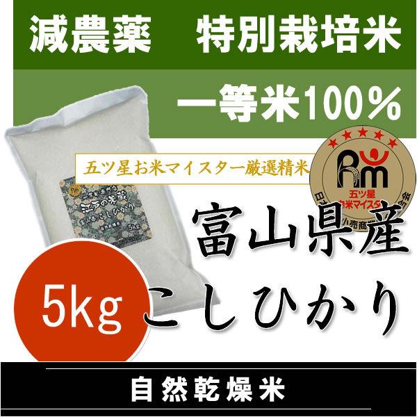 お米 5kg 新米 令和7年産 富山県 南砺産 コシヒカリ 5kg 特別栽培米 (減農薬・減化学肥料...