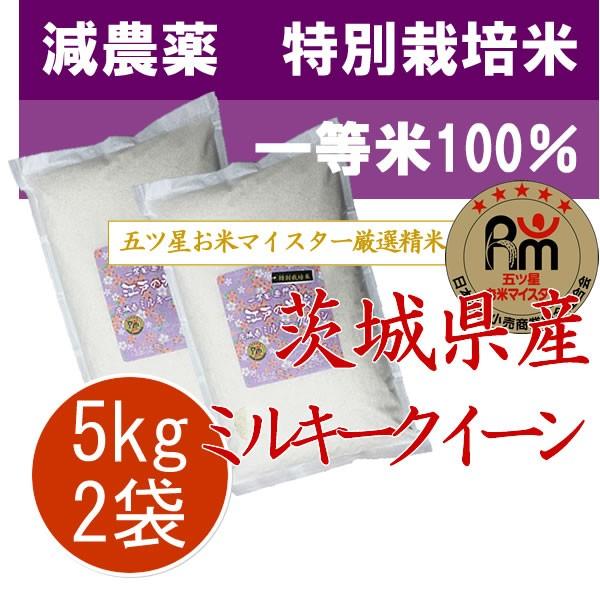 新米 令和5年産 茨城県産 ミルキークィーン 10kg (5kg×2袋) 特別栽培米 (減農薬米・減...