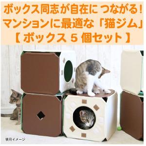 キャットタワー「猫ジムBX5」ボックス5ピース（5箱1組）｜edosho