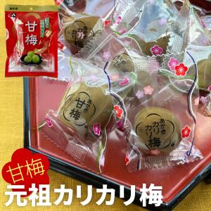 あかぎのカリカリ梅 1g 2袋 おつまみ 駄菓子 梅干し 明治26年創業 元祖 無着色 大粒国産 カリッとフルーティな塩味 セール 送料無料 Sc Af 002 Y 江戸商人 ヤフー店 通販 Yahoo ショッピング