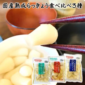 漬物 熟成らっきょう食べ比べ3種 宮崎県都城産使用