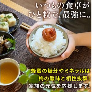 梅干し 訳あり南高梅はちみつ梅 1kg×1箱 ...の詳細画像5