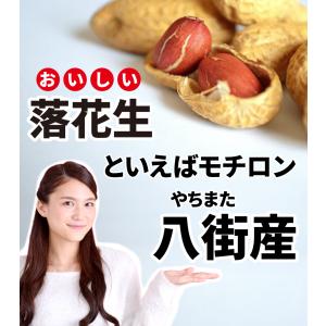 50%OFFクーポン おつまみ 八街産 素焼き...の詳細画像1