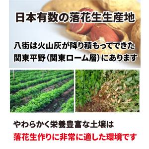 50%OFFクーポン おつまみ 八街産 素焼き...の詳細画像2