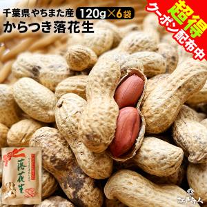 生落花生 むき実 3kg 高級品種 千葉半立のみ使用 千葉県産 令和6