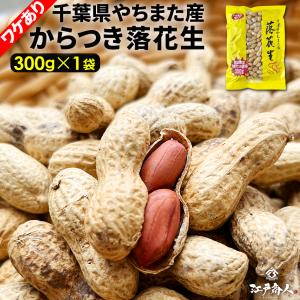 賞味期限2023/9/15 おつまみ 珍味  訳あり 千葉県やちまた産