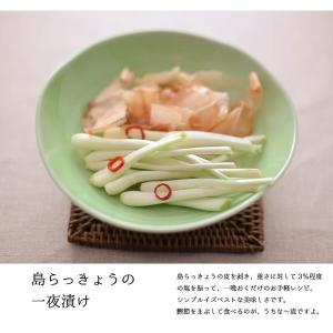 島らっきょう沖縄県産 100g 量り売り 50...の詳細画像4