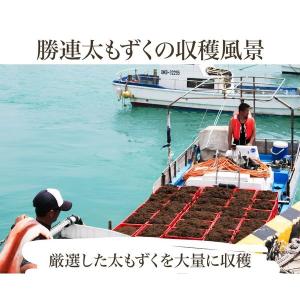 もずく 沖縄県産 メール便送料無料 500g ...の詳細画像4