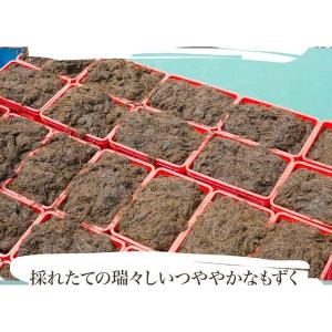 もずく 沖縄県産 メール便送料無料 500g ...の詳細画像5