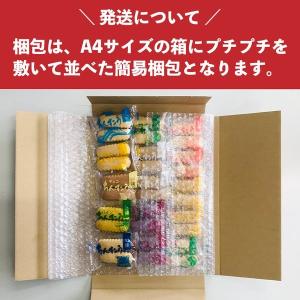【ちんすこう】 10種類(15袋合計30個入り...の詳細画像3