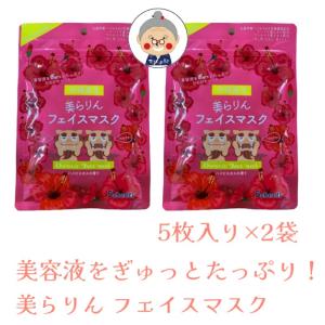 ジェニス イナズマスク GENIS Inazumask 5回分入り : PositivoRegalo