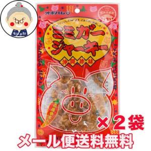 23g入りが2袋入り メール便 コリコリ食感がやみつきおつまみお酒のお供に 酒の肴 お取寄せ 沖縄土産 干し肉