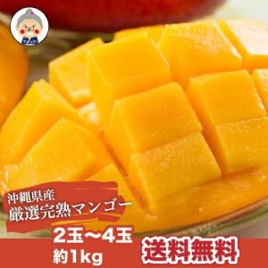 沖縄産 完熟マンゴー 2kg 4-6玉 送料無料 リピーター続出の甘さ お中元