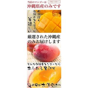 沖縄産 完熟マンゴー 2kg 4-6玉 送料無...の詳細画像1
