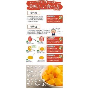 沖縄産 完熟マンゴー 2kg 4-6玉 送料無...の詳細画像2