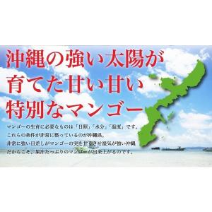 沖縄産 完熟マンゴー 2kg 4-6玉 送料無...の詳細画像3