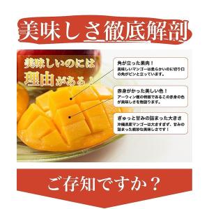沖縄産 完熟マンゴー 2kg 4-6玉 送料無...の詳細画像5