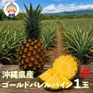 石垣島ゴールドパイン10kg（6〜11玉） 送料無料 : 果物と島野菜