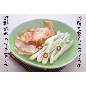 島らっきょう沖縄県産 1kg 送料無料 2kg...の詳細画像1