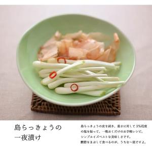 島らっきょう沖縄県産 1kg 送料無料 2kg...の詳細画像5
