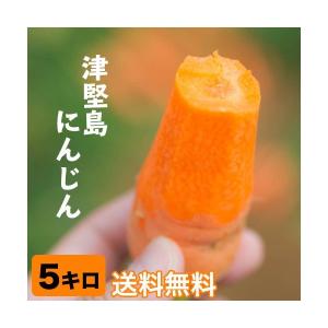人参 訳あり】津堅島にんじん 津堅島人参 お試し 5kg 送料無料 訳あり