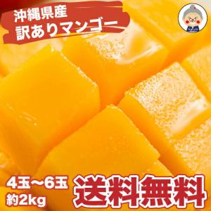 訳あり 沖縄産 マンゴー 6-9玉 3kgセット 送料無料【予約受付中