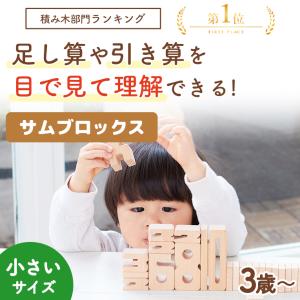 積み木 知育玩具 サムブロックス Sumblo...の詳細画像1