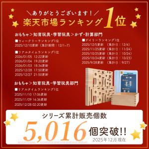 積み木 知育玩具 サムブロックス Sumblo...の詳細画像2
