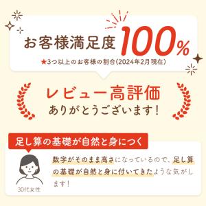積み木 知育玩具 サムブロックス Sumblo...の詳細画像3