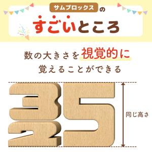 積み木 知育玩具 サムブロックス Sumblo...の詳細画像5