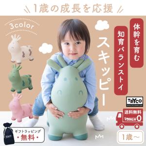 スキッピー バランストイ 乗用玩具 屋内外対応...の詳細画像1