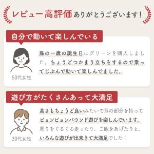 スキッピー バランストイ 乗用玩具 屋内外対応...の詳細画像2