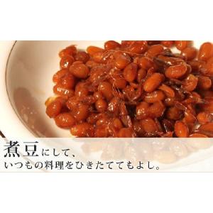 令和7年度産 大豆 ことゆたか 10kg 白大...の詳細画像2