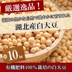 令和7年度産 大豆 ことゆたか 10kg 白大...の詳細画像1