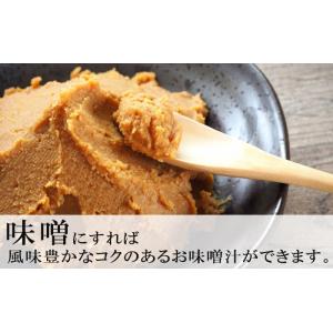 令和7年度産 大豆 ことゆたか 10kg 白大...の詳細画像5