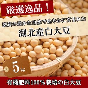 令和7年度産 大豆 ことゆたか 5kg 白大豆...の詳細画像1