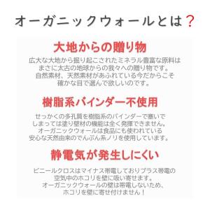 珪藻土 漆喰 リノベ DIY「初心者に親切な塗...の詳細画像1